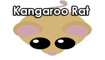 Mope.io Kangaroo Rat Guide